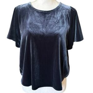 Madewell Blue Jewel Tone Velour Top Small